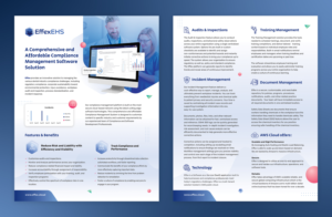 Brochure Design by sun_design for Effex Consulting, LLC | Design #27634067
