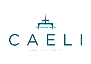 Logo Design by Stobart Creative for this project | Design: #27644619