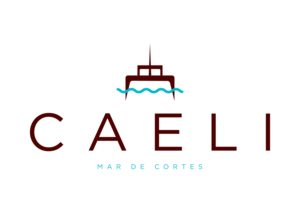 Logo Design by Stobart Creative for this project | Design: #27661490