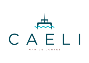 Logo Design by Stobart Creative for this project | Design: #27667146