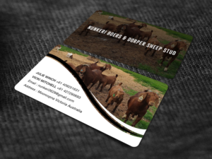 Business Card Design by RENEXIT for Nunkeri Boers  | Design: #27657658