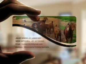 Business Card Design by RENEXIT for Nunkeri Boers  | Design: #27657659