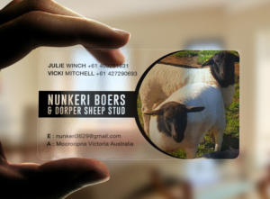 Business Card Design by RENEXIT for Nunkeri Boers  | Design: #27657660