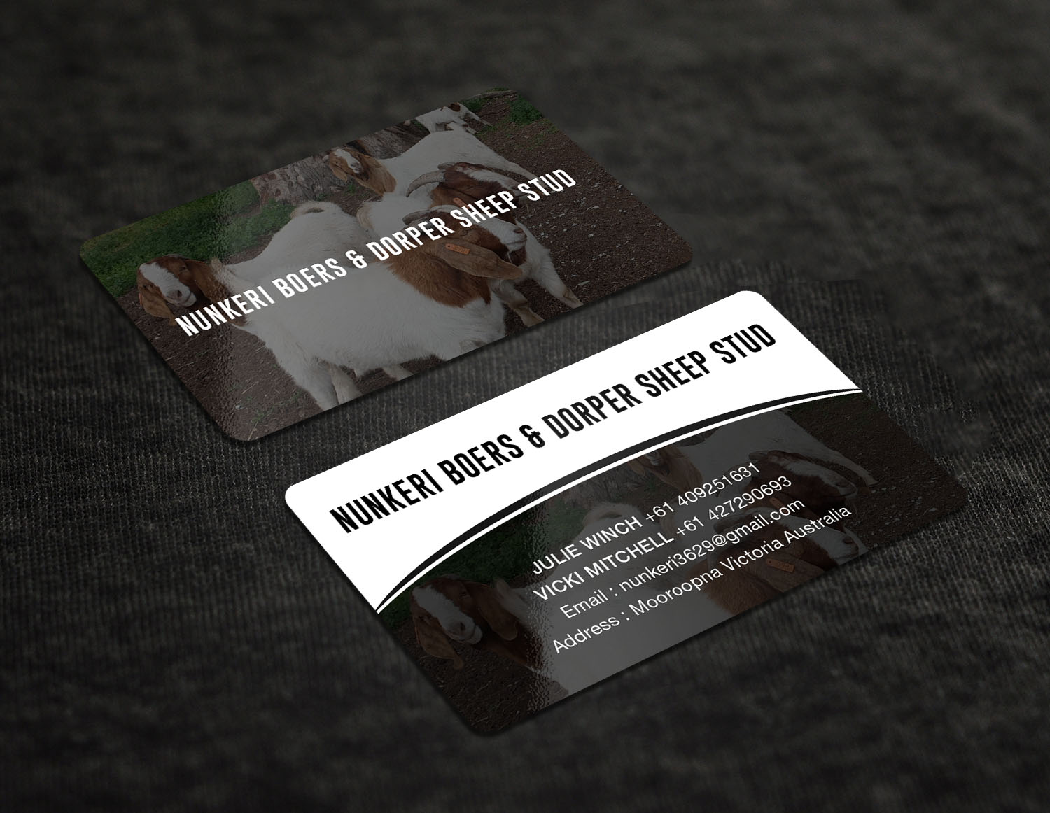 Business Card Design by RENEXIT for Nunkeri Boers  | Design #27657661