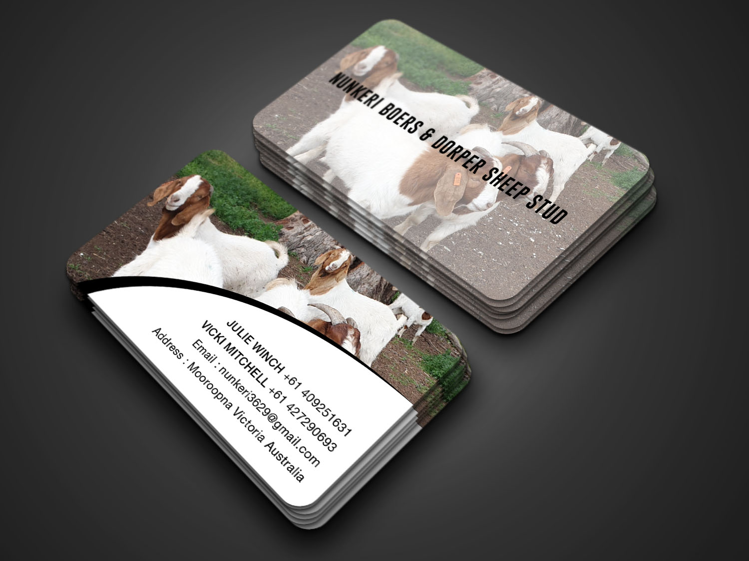 Business Card Design by RENEXIT for Nunkeri Boers  | Design #27657697