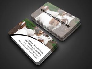 Design de Carte de Visite par RENEXIT pour Nunkeri Boers  | Design : #27657697