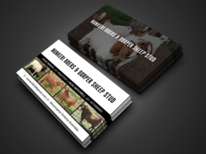 Business Card Design by Miraz Islam for Nunkeri Boers  | Design #27657698