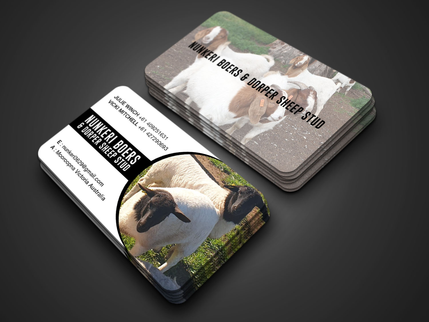 Business Card Design by RENEXIT for Nunkeri Boers  | Design #27657699