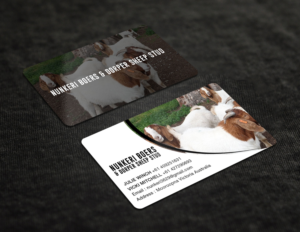 Business Card Design by RENEXIT for Nunkeri Boers  | Design: #27657700
