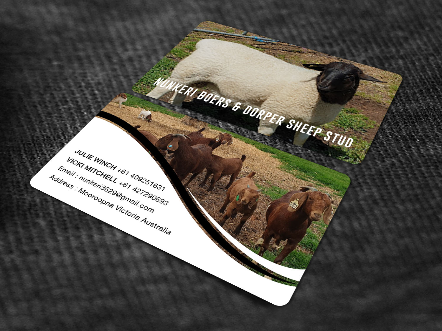 Business Card Design by RENEXIT for Nunkeri Boers  | Design #27660185