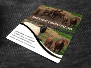Business Card Design by RENEXIT for Nunkeri Boers  | Design: #27660186