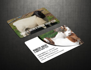 Business Card Design by RENEXIT for Nunkeri Boers  | Design: #27660188