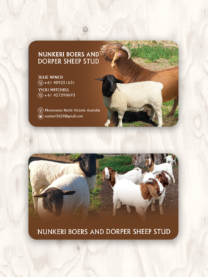 Business Card Design by Sandaruwan for Nunkeri Boers  | Design #27656347