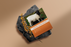 Business Card Design by melina p