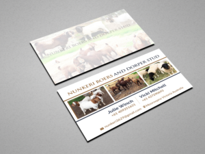 Business Card Design by Creations Box 2015 for Nunkeri Boers  | Design: #27648534