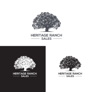 Logo Design by shan zida