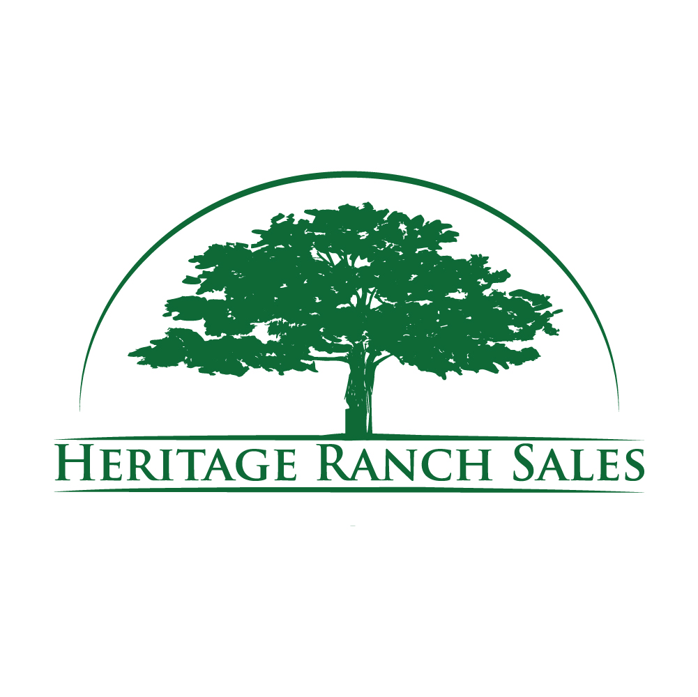 Logo Design by creativemood438 for this project | Design #27662195