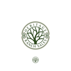 Logo Design by Patrick07
