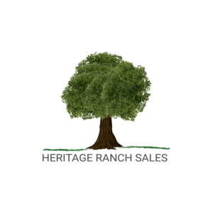Logo Design by Diana_C0817