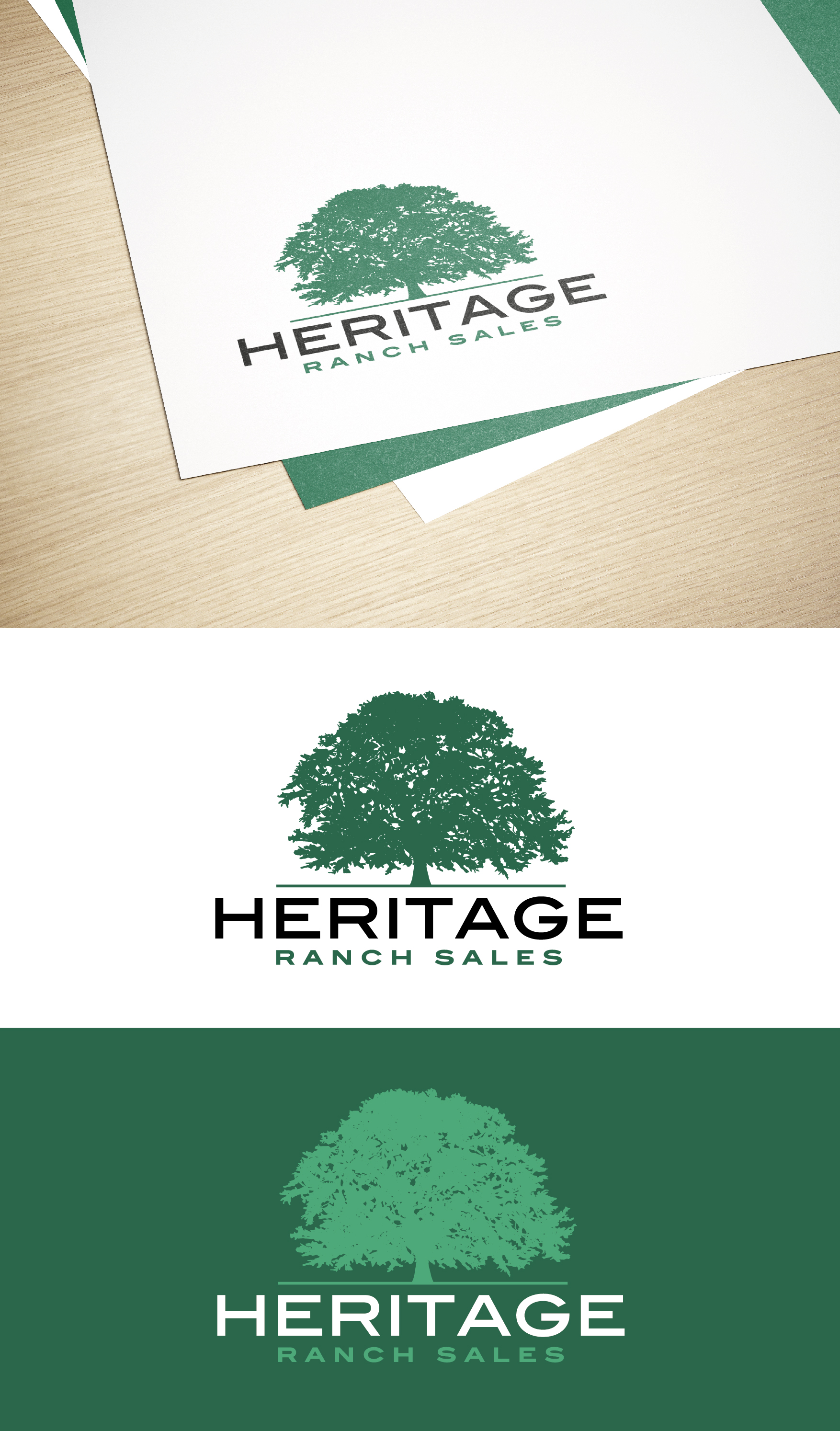Logo Design by grrssn for this project | Design #27666911