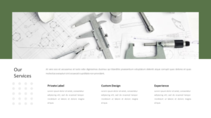 PowerPoint Design by Lili for this project | Design: #27670783