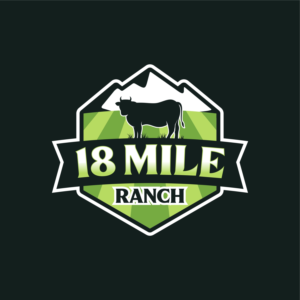 Logo Design by MattDsign