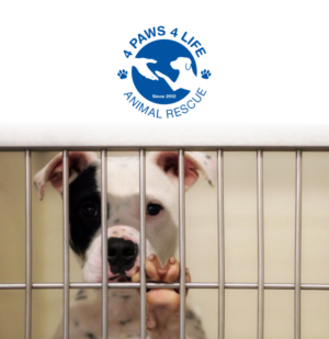 Logo Design by creativerhythm for this project | Design: #27680510