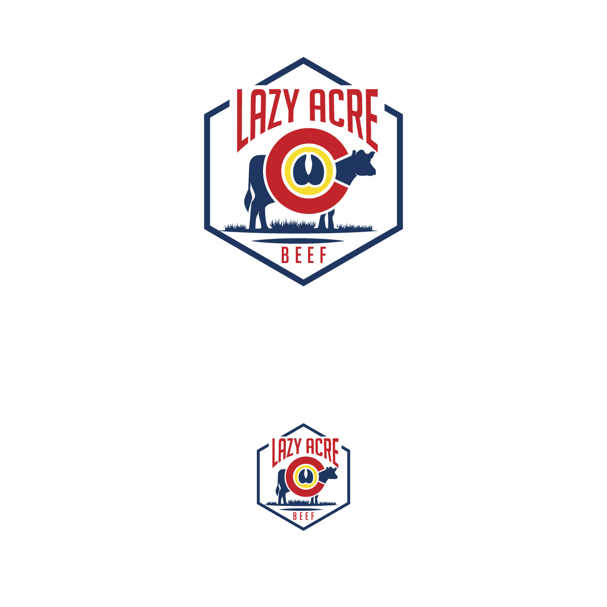 Logo-Design von brand maker für dieses Projekt | Design #27649583