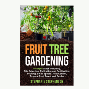 eBook Cover Design by NatPearlDesigns for this project | Design #27653551
