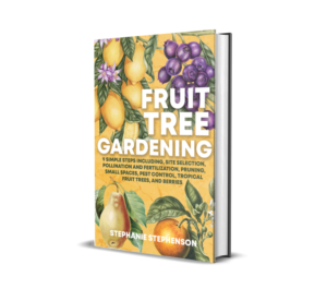 eBook Cover Design by leuchi