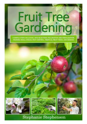 eBook Cover Design by sormaz.tanja