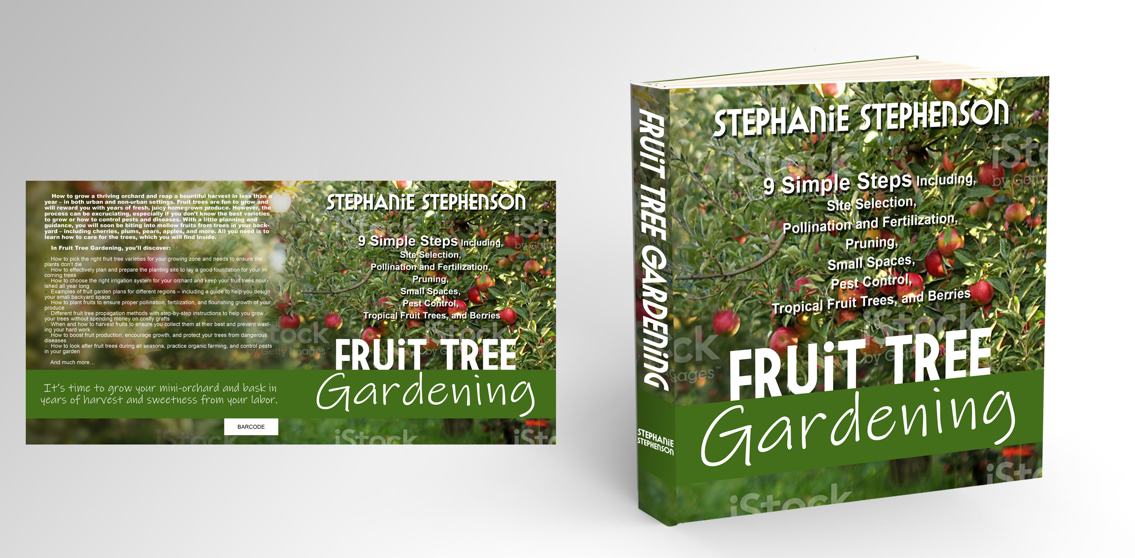 eBook Cover Design by ioio for this project | Design #27657069
