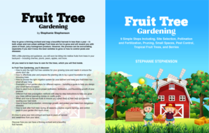 eBook Cover Design by MardiaDesign