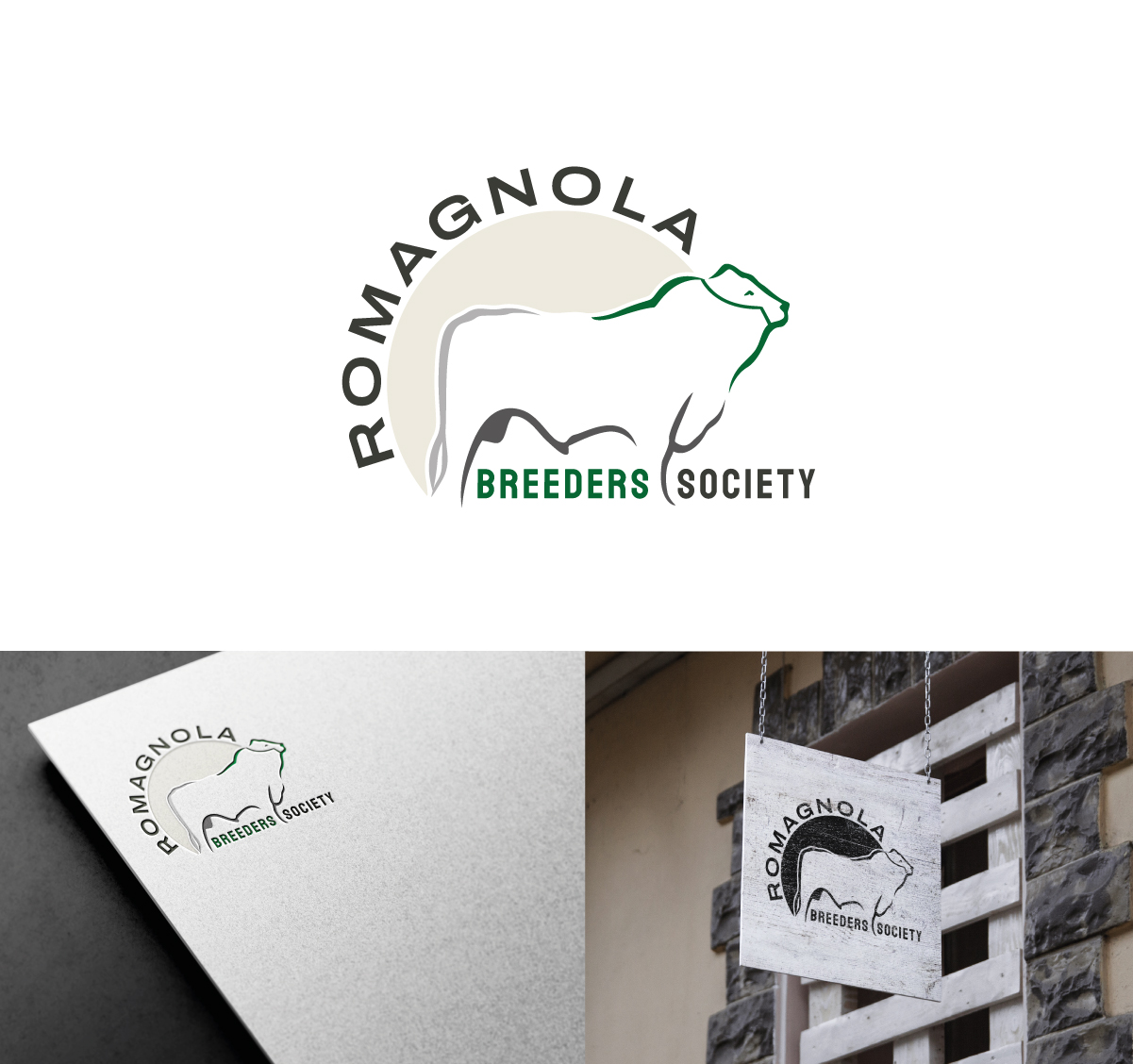 Logo Design by AbhishekkM'24 for this project | Design #27650473