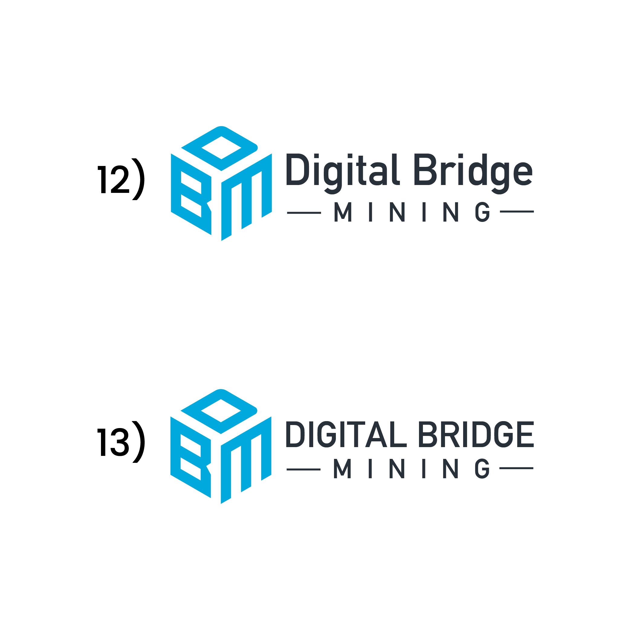Diseño de Logo por MD Aminul Islam para este proyecto | Diseño #27669421