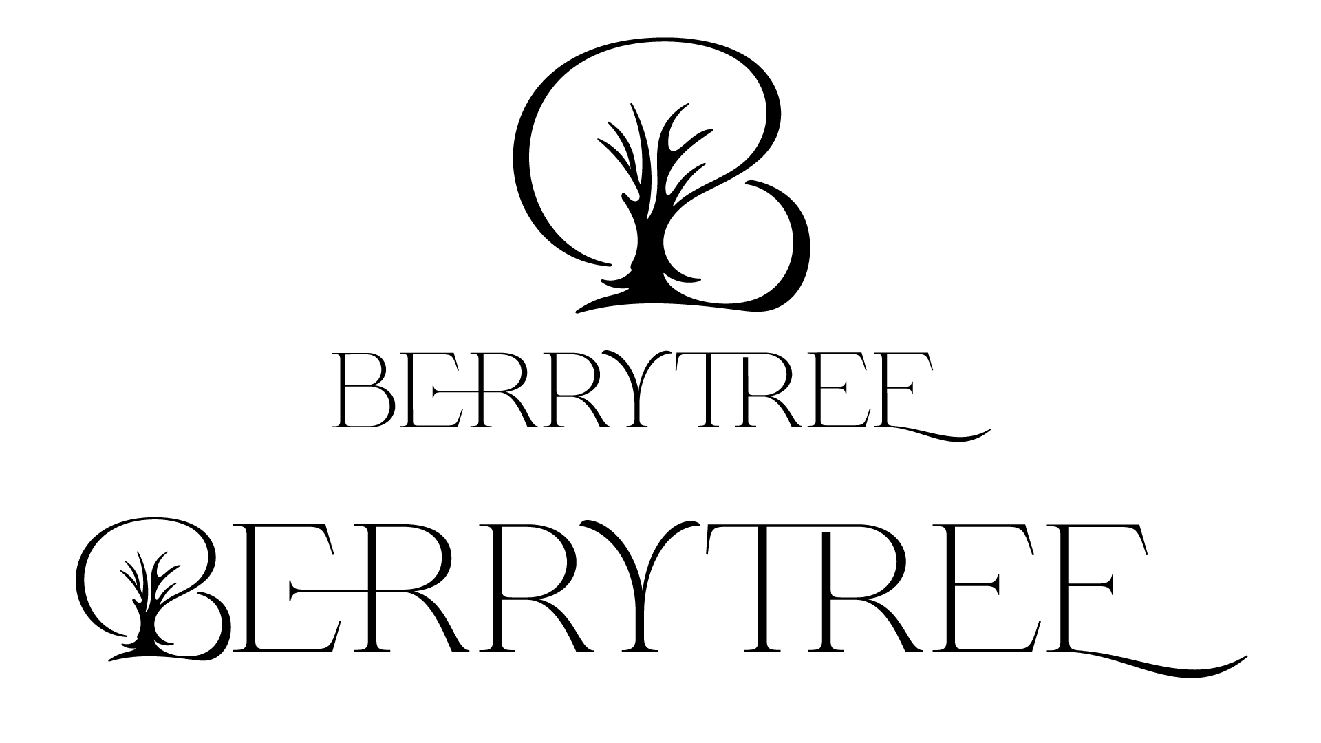 Logo Design by katan_designs for Sunberry Systems Ltd | Design #27686058