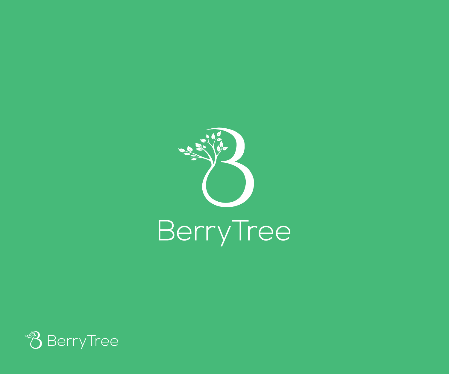 Logo Design by Pixelon Studio for Sunberry Systems Ltd | Design #27658929