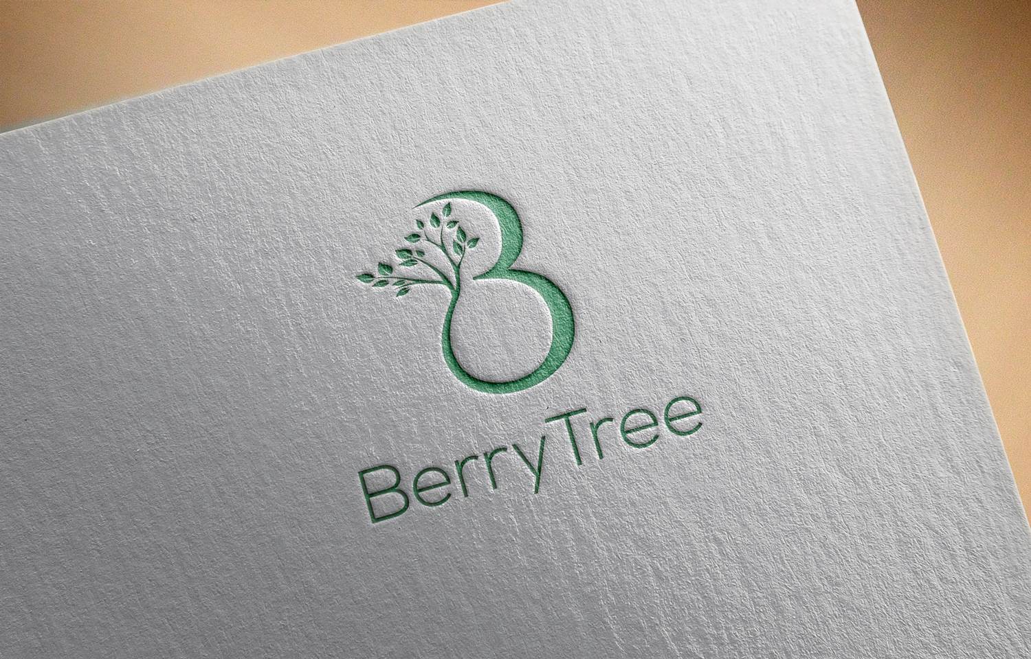 Logo Design by Pixelon Studio for Sunberry Systems Ltd | Design #27662084