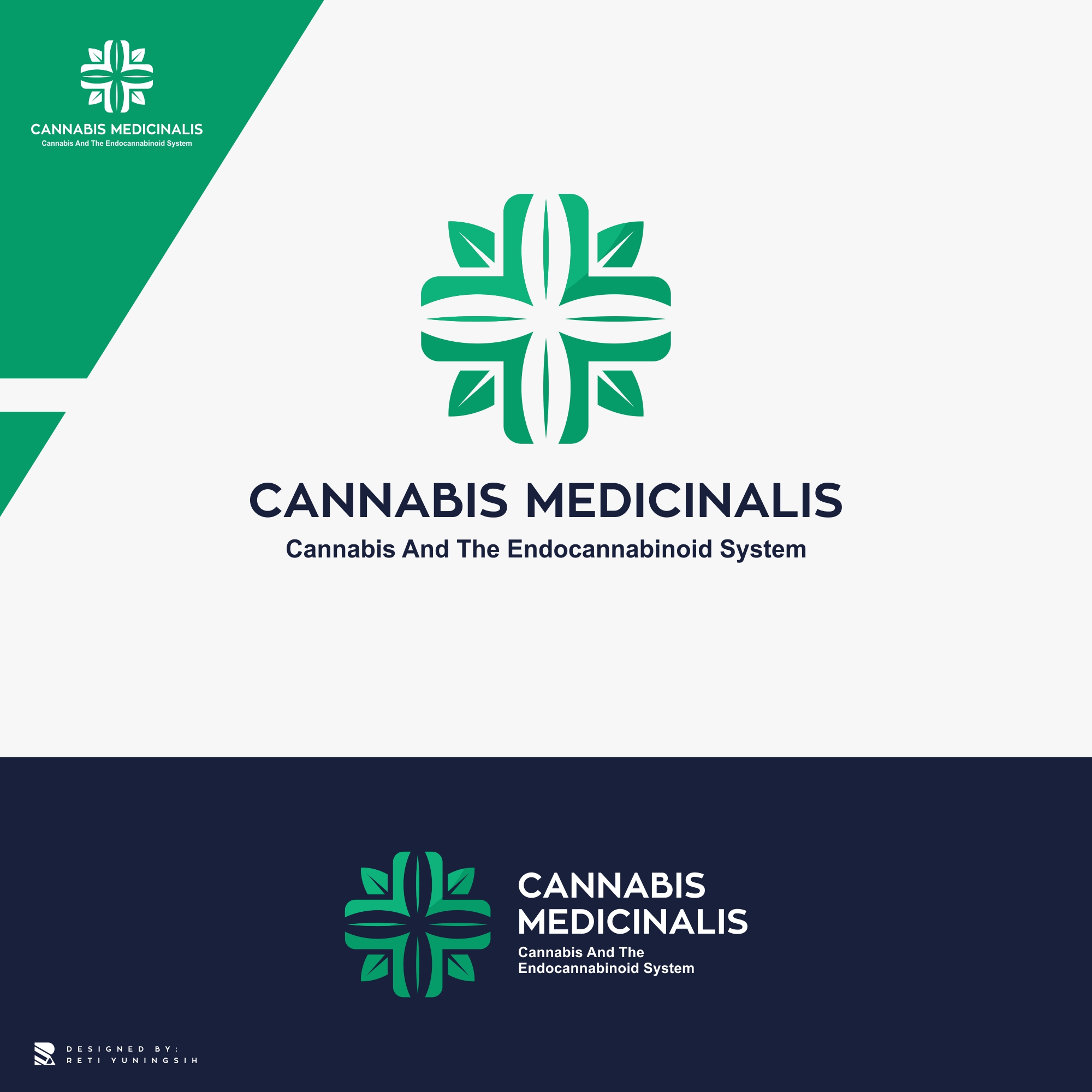 Logo Design by Erzan Design for PhytoFlow GmbH | Design #27666387