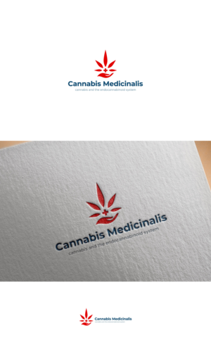 Logo-Design von Haja_H2 für PhytoFlow GmbH | Design: #27667933