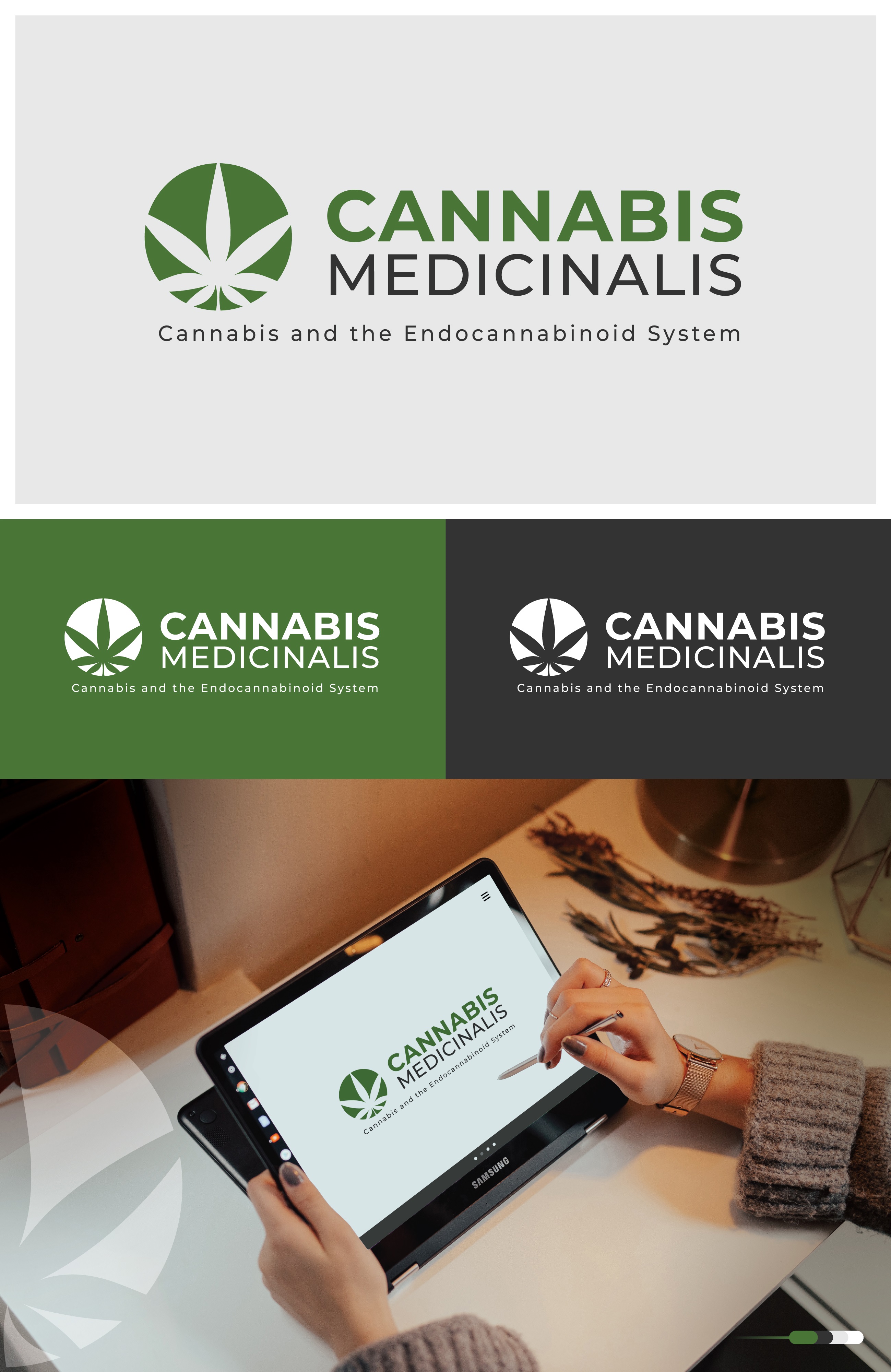 Logo Design by DigitalHareesh (Creative Senior Graphic Designer) for PhytoFlow GmbH | Design #27668039