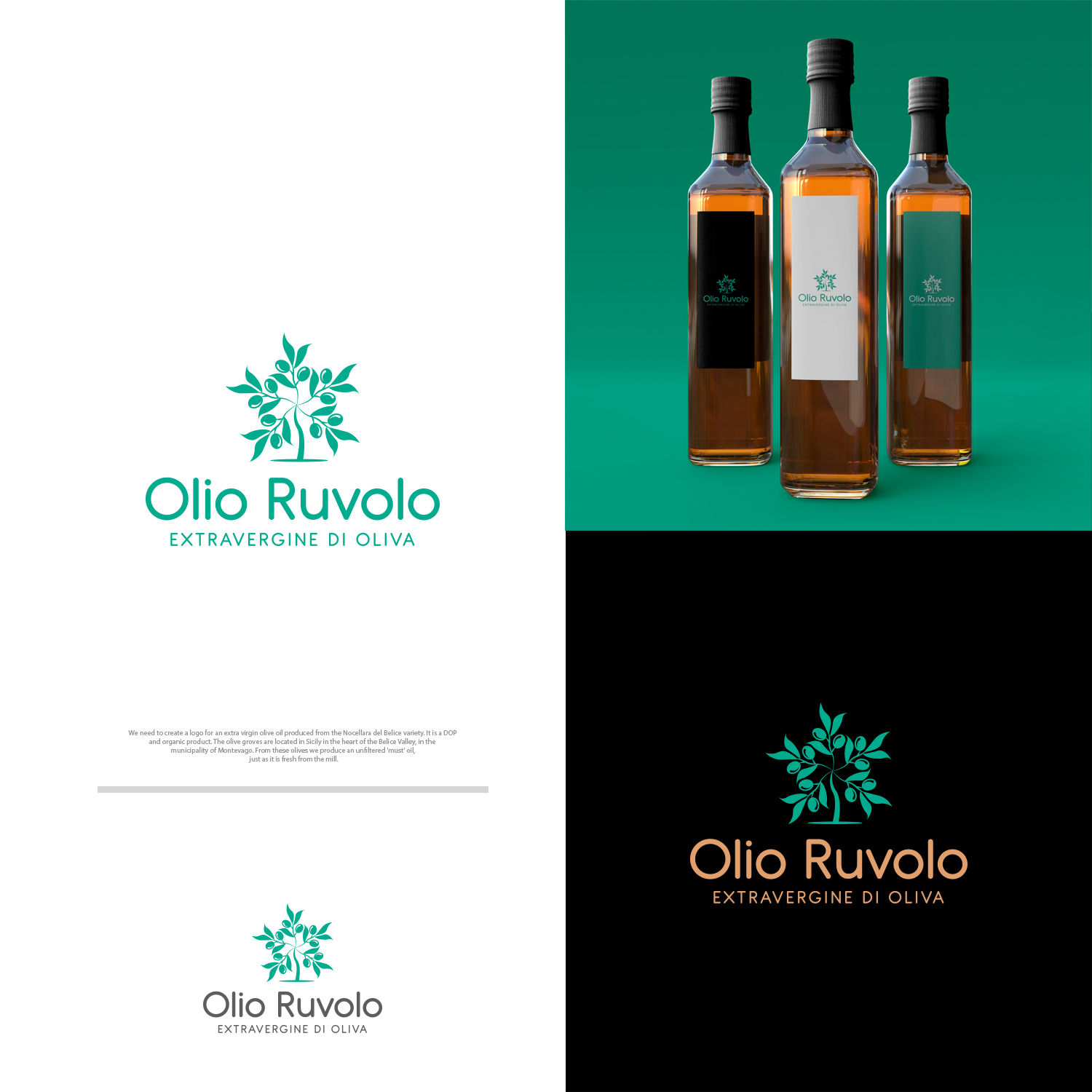 Diseño de Logo por nzdesigners para este proyecto | Diseño #27688835