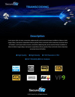 Web Design by Titan Eagle for Secure TV | Design: #27801881