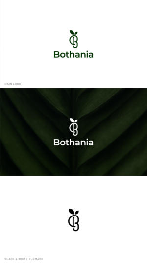 Logo Design by Lia Design for this project | Design: #27675814