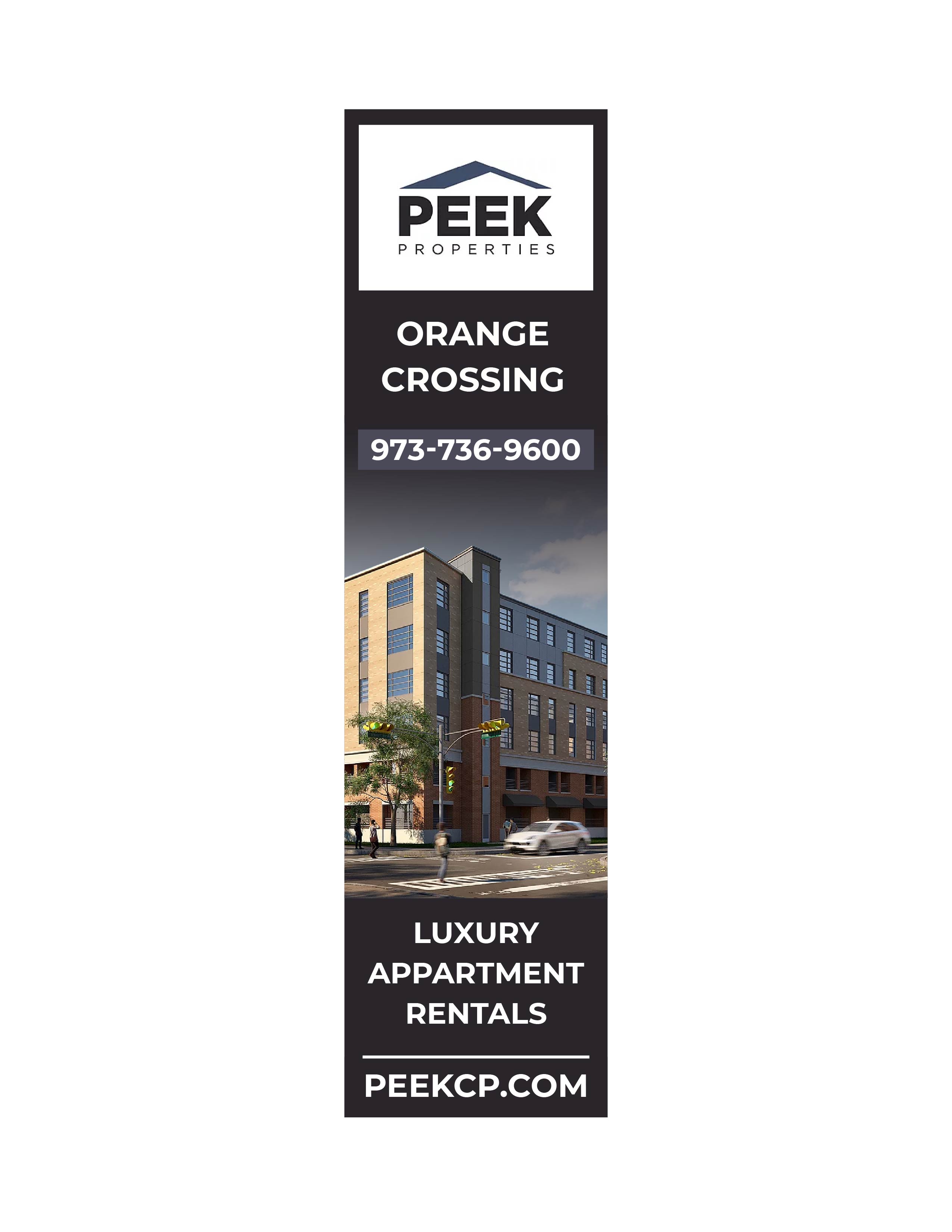 Graphic Design by Nahom Shiferaw for PEEK Properties | Design #27677606