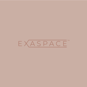 Exaspace | Logo Design by ILLUSTRATOR PRO