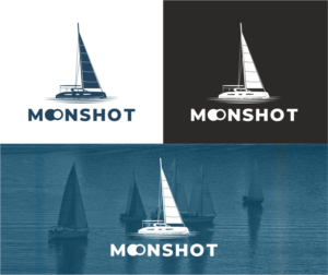 Logo Design by aarohiak for this project | Design: #27716105