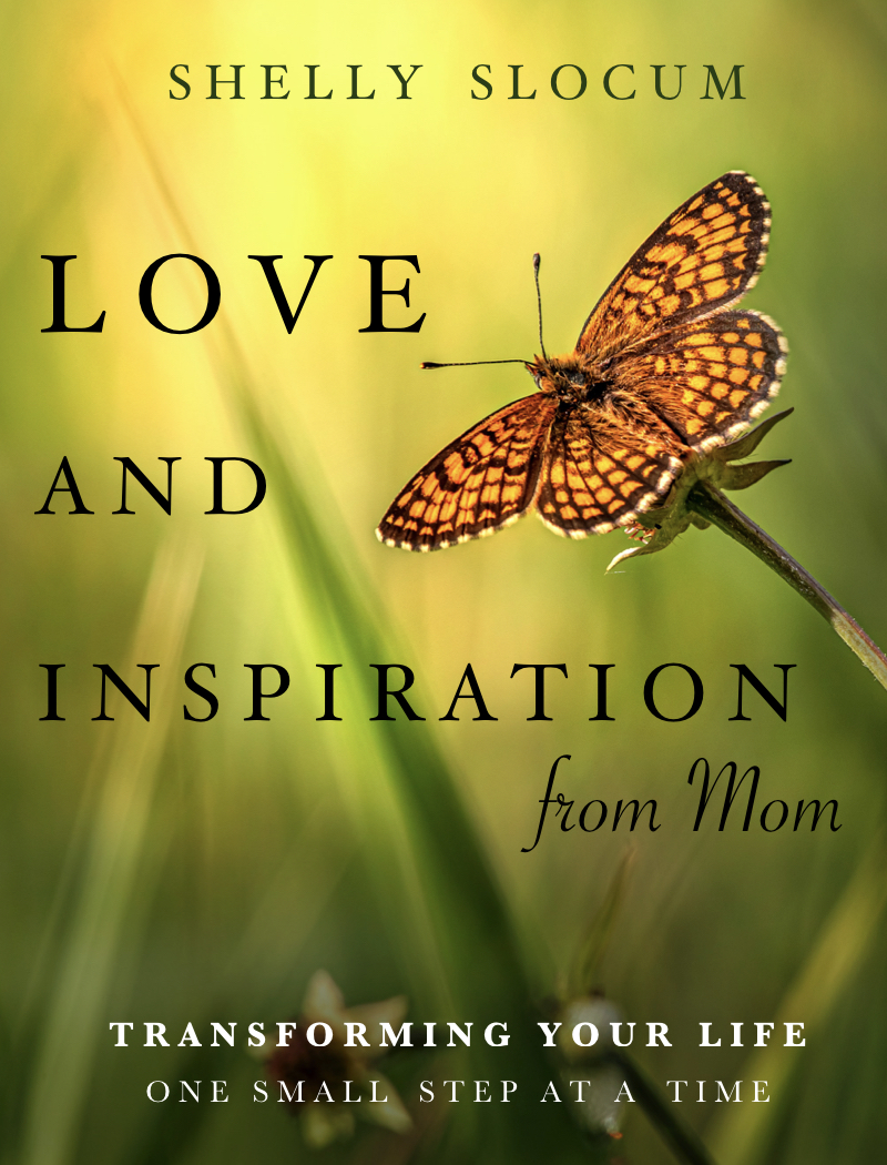 Book Cover Design by AnninWonderland for this project | Design #27733299