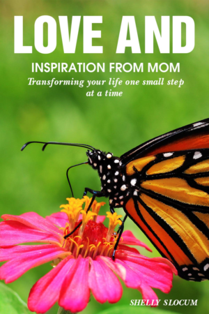 Book Cover Design by Sarah William for this project | Design: #27706274