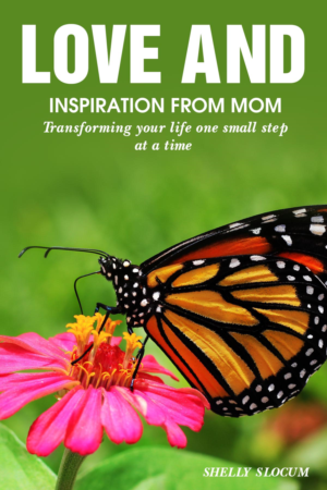 Book Cover Design by Sarah William for this project | Design: #27706275